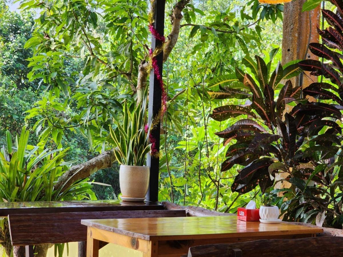 Suankafae Resort สวนกาแฟรีสอร์ท Surat Thani Eksteriør billede